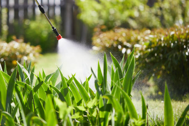 24/7 Emergency Mosquito Control experts in Mankato, MN