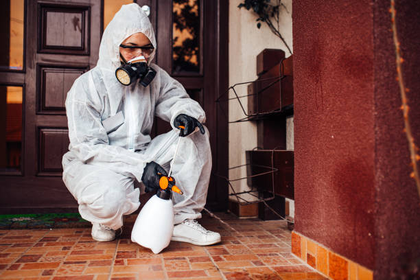 Reliable Mosquito Control contractor in Mankato, MN by Show Me Pest Control